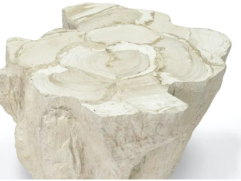 Camilla Fossilized Clam Side Table Home Crush