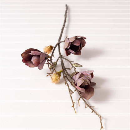 Branch - Magnolia (PK/12 AST) Audrey's Home & Gift