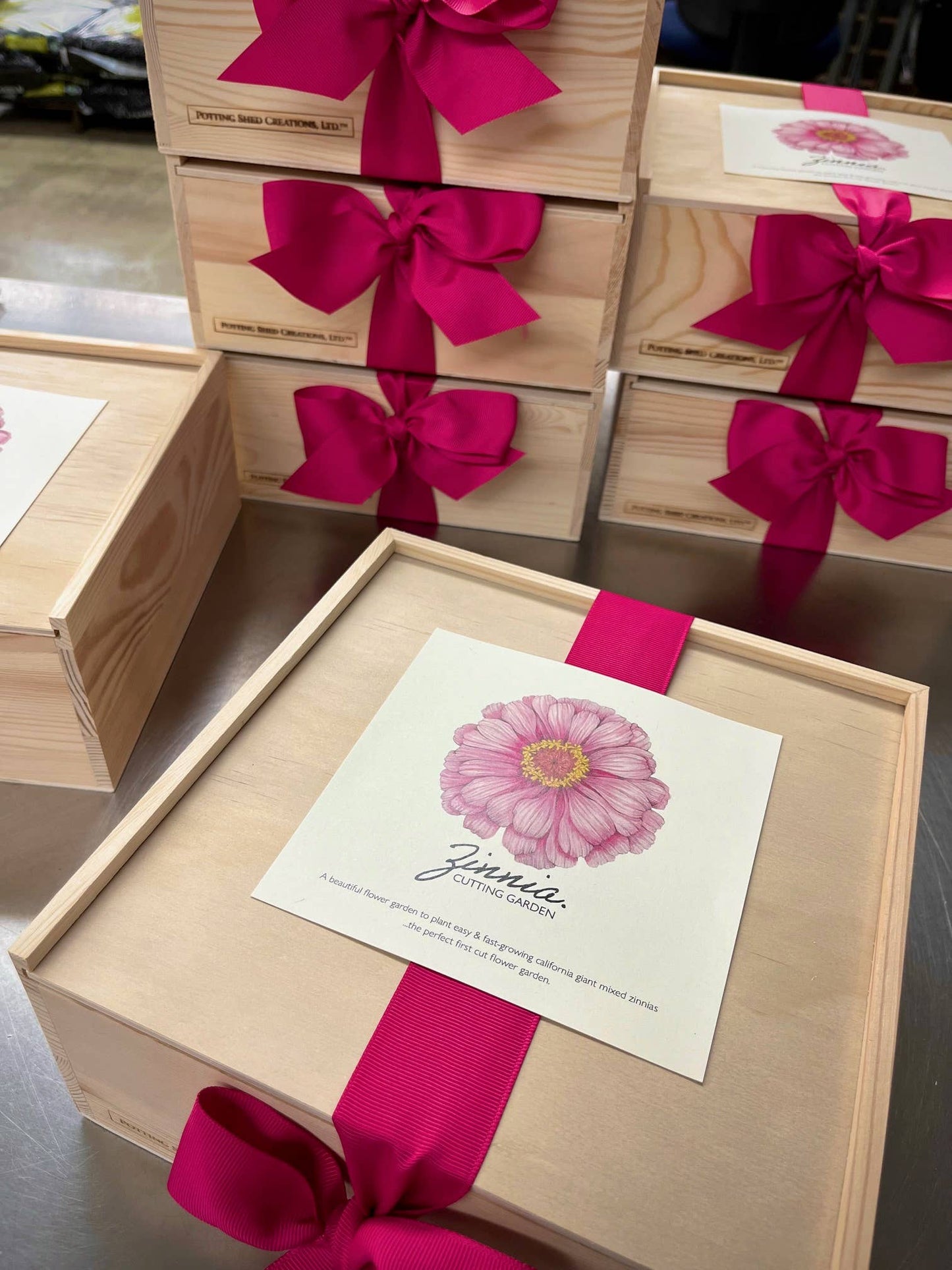NEW Flower Cutting Garden Box | Mixed Zinnia | Thoughtful Potting Shed Creations, Ltd.