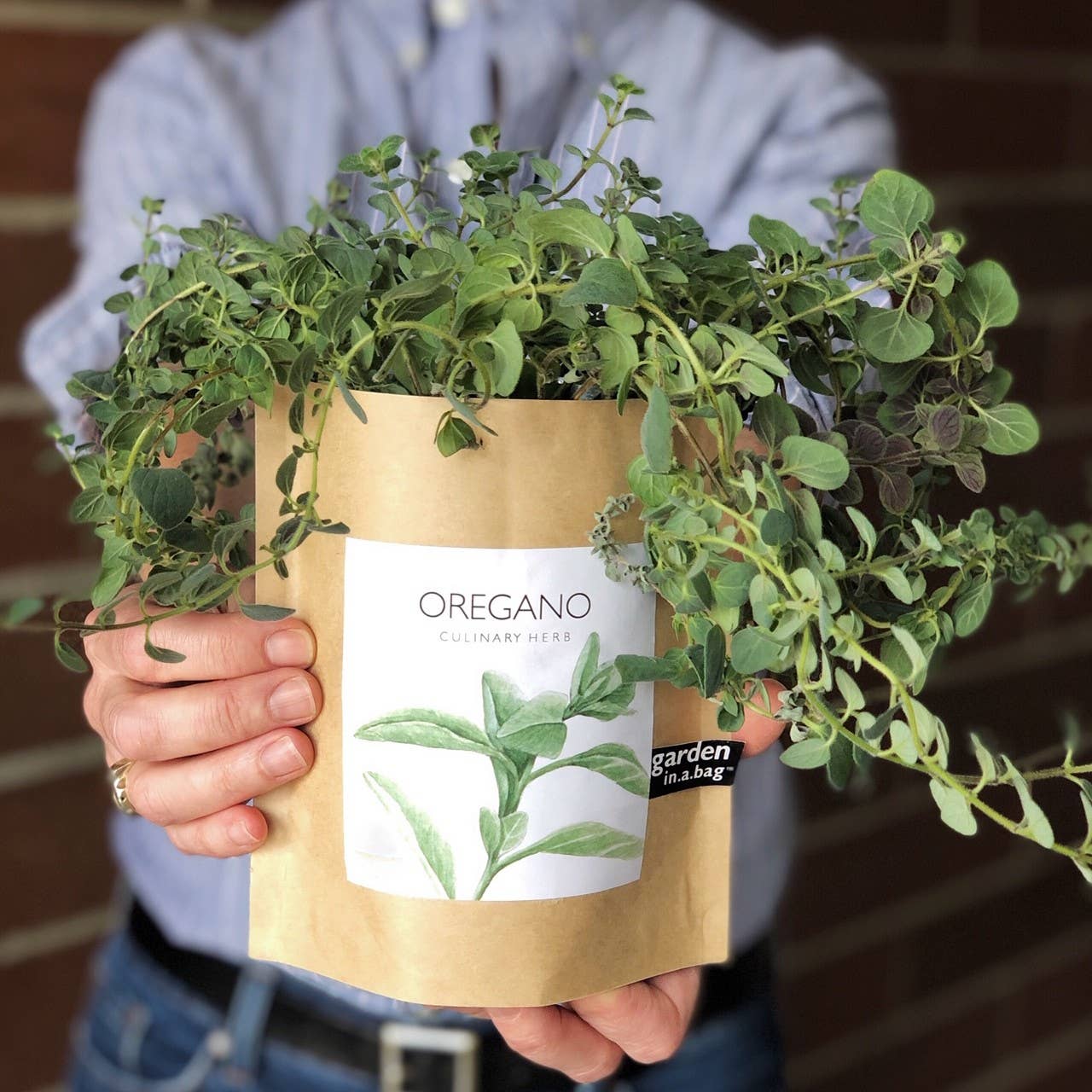 Garden in a Bag Oregano | Summer Kitchen Herb Garden Gift Potting Shed Creations, Ltd.