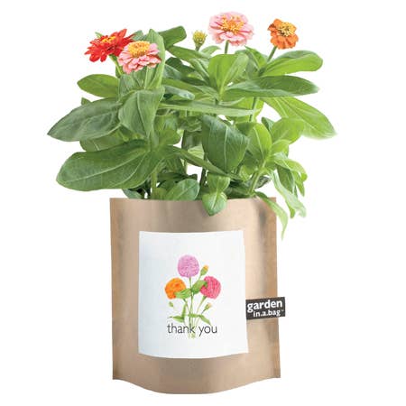 Garden in a Bag Thank You | Best Seller | Anytime Flowers Potting Shed Creations, Ltd.