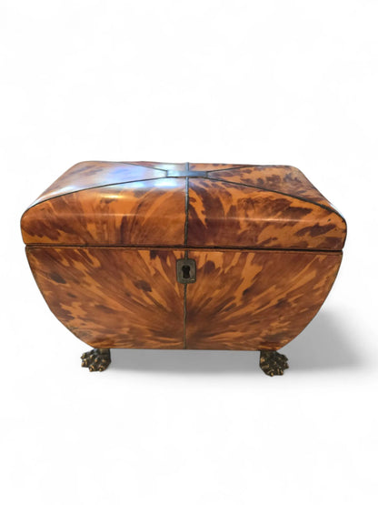 Blonde tortoise tea caddy 19th C. Home Crush