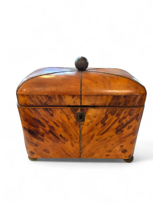 19th C. Tea caddy Home Crush