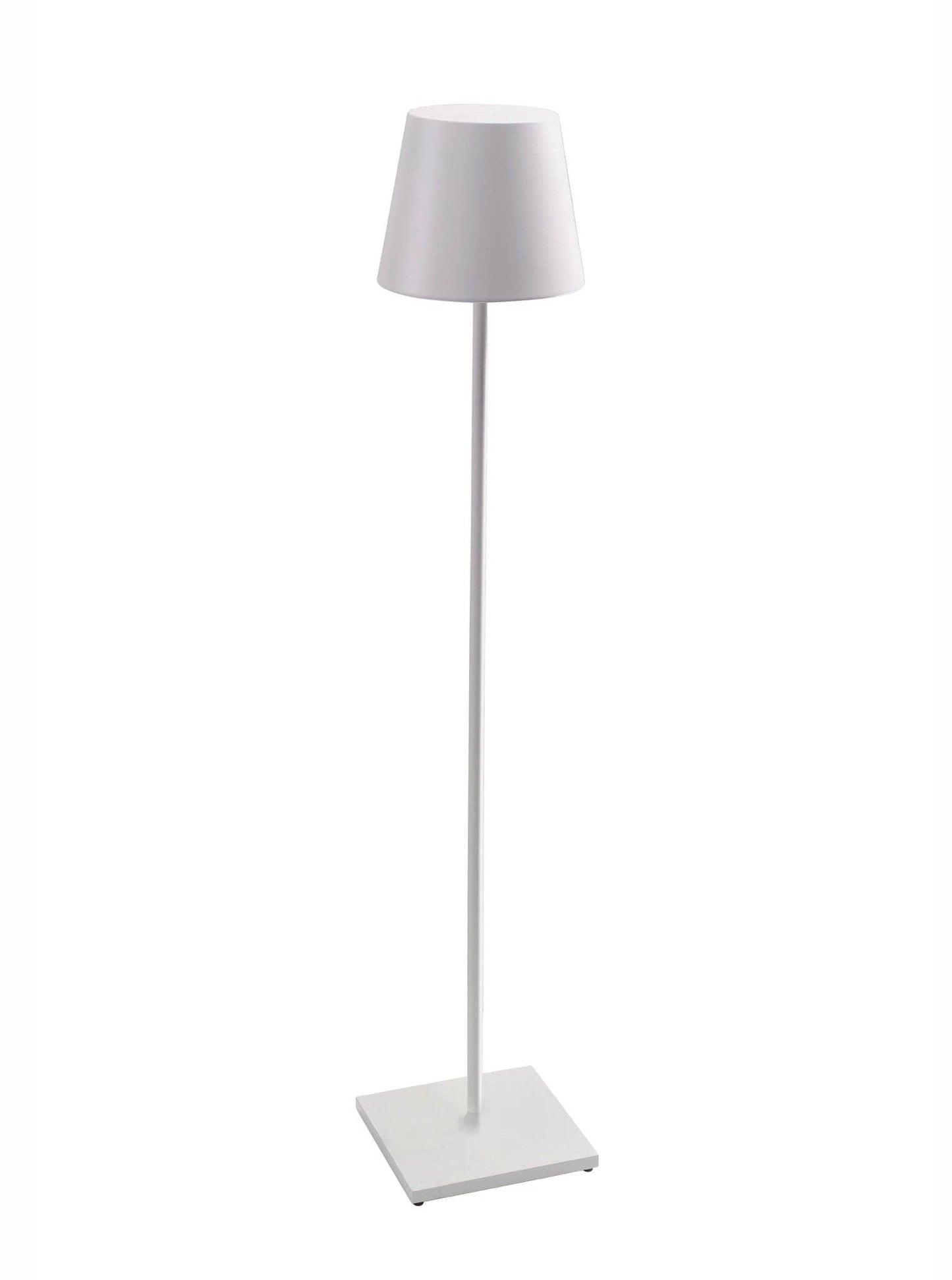 Poldina Pro XXL Zafferano America