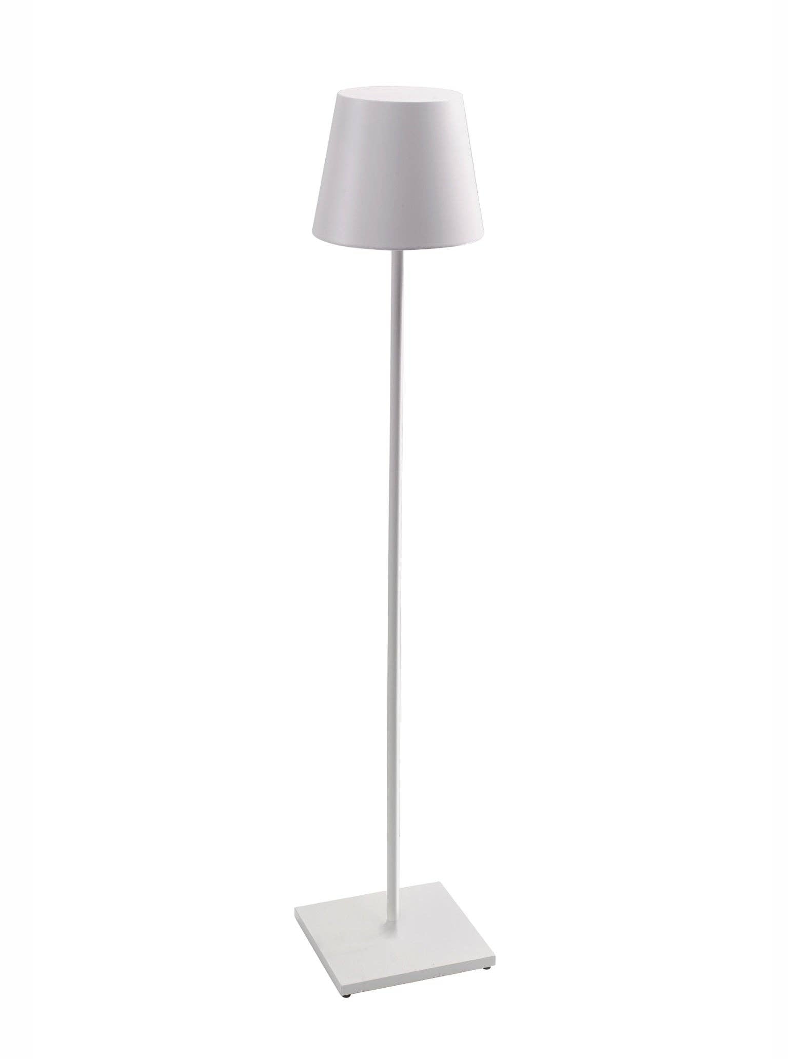 Poldina Pro XXL Zafferano America