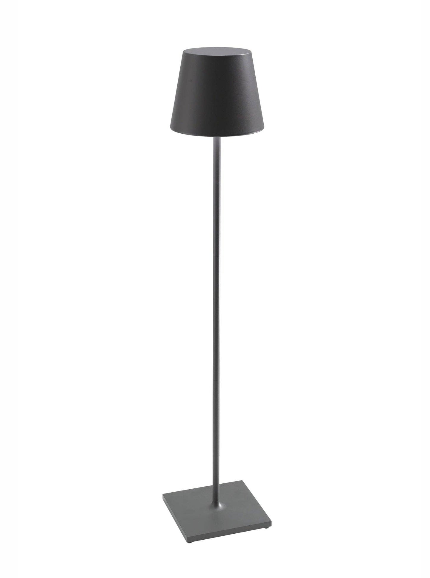 Poldina Pro XXL Zafferano America