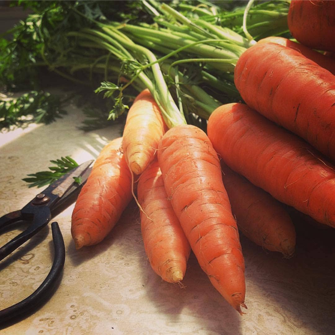 Garden Maker Farmer’s Market | Summer Kitchen Garden Gift: Default Potting Shed Creations, Ltd.