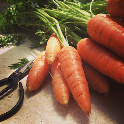 Garden Maker Farmer’s Market | Summer Kitchen Garden Gift: Default Potting Shed Creations, Ltd.