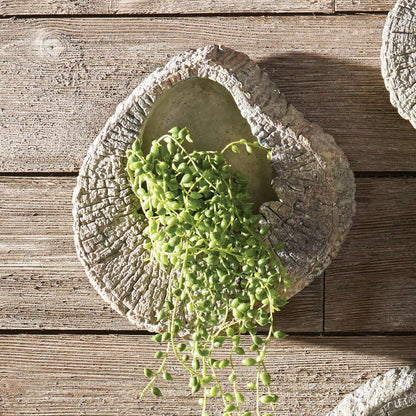 Seabrook Wall Planter 8" Napa Home & Garden