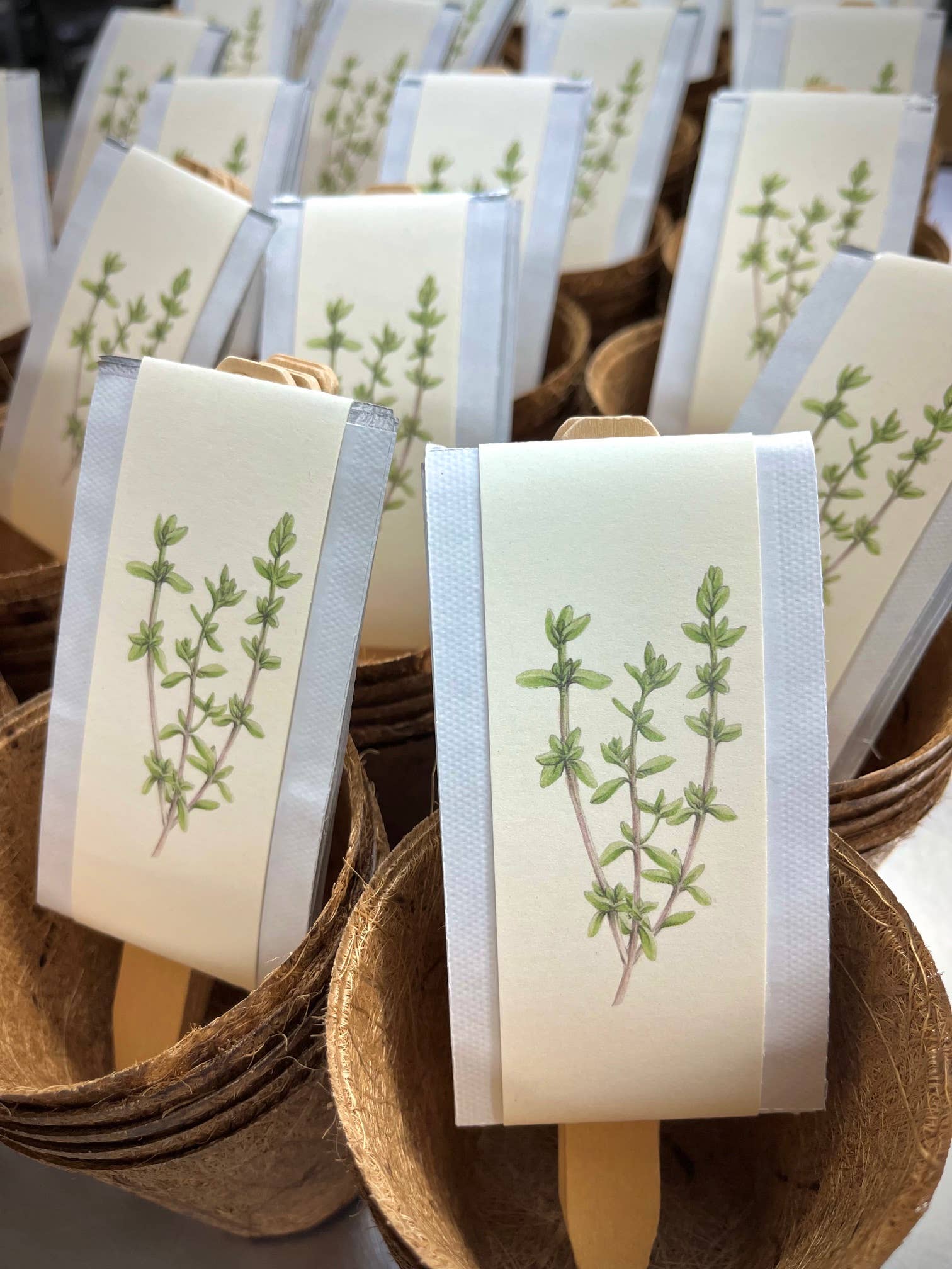 NEW Culinary Herb Garden Box | Thoughtful Summer Herb Kit Potting Shed Creations, Ltd.