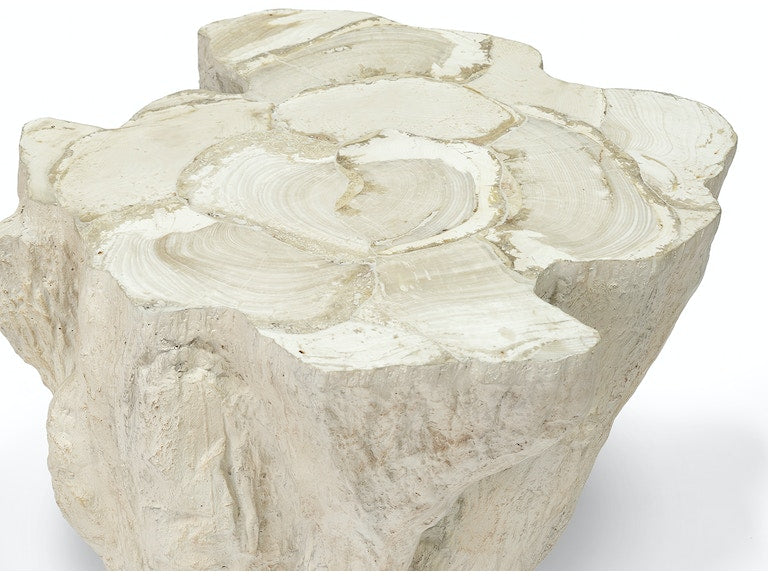 Camilla Fossilized Clam Side Table