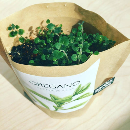 Garden in a Bag Oregano | Summer Kitchen Herb Garden Gift Potting Shed Creations, Ltd.