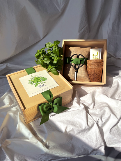 NEW Culinary Herb Garden Box | Thoughtful Summer Herb Kit Potting Shed Creations, Ltd.