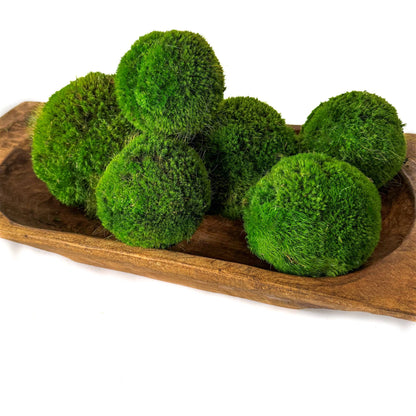 6'' Preserved Large Moss Ball Forever Green Art