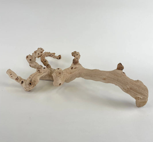 18" Sandblasted Grapewood Andaluca