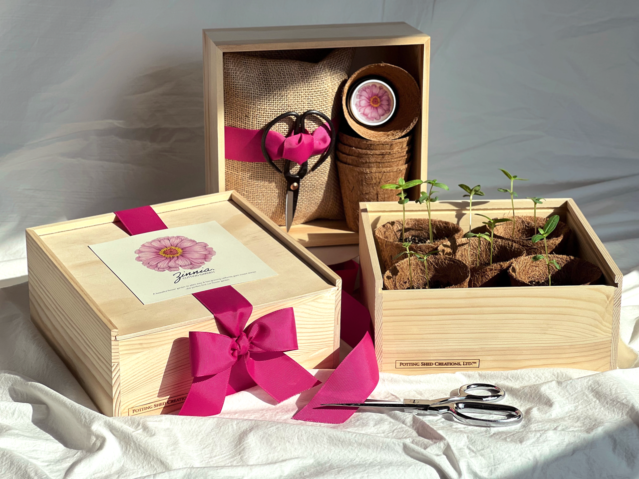 NEW Culinary Herb Garden Box | Thoughtful Summer Herb Kit Potting Shed Creations, Ltd.