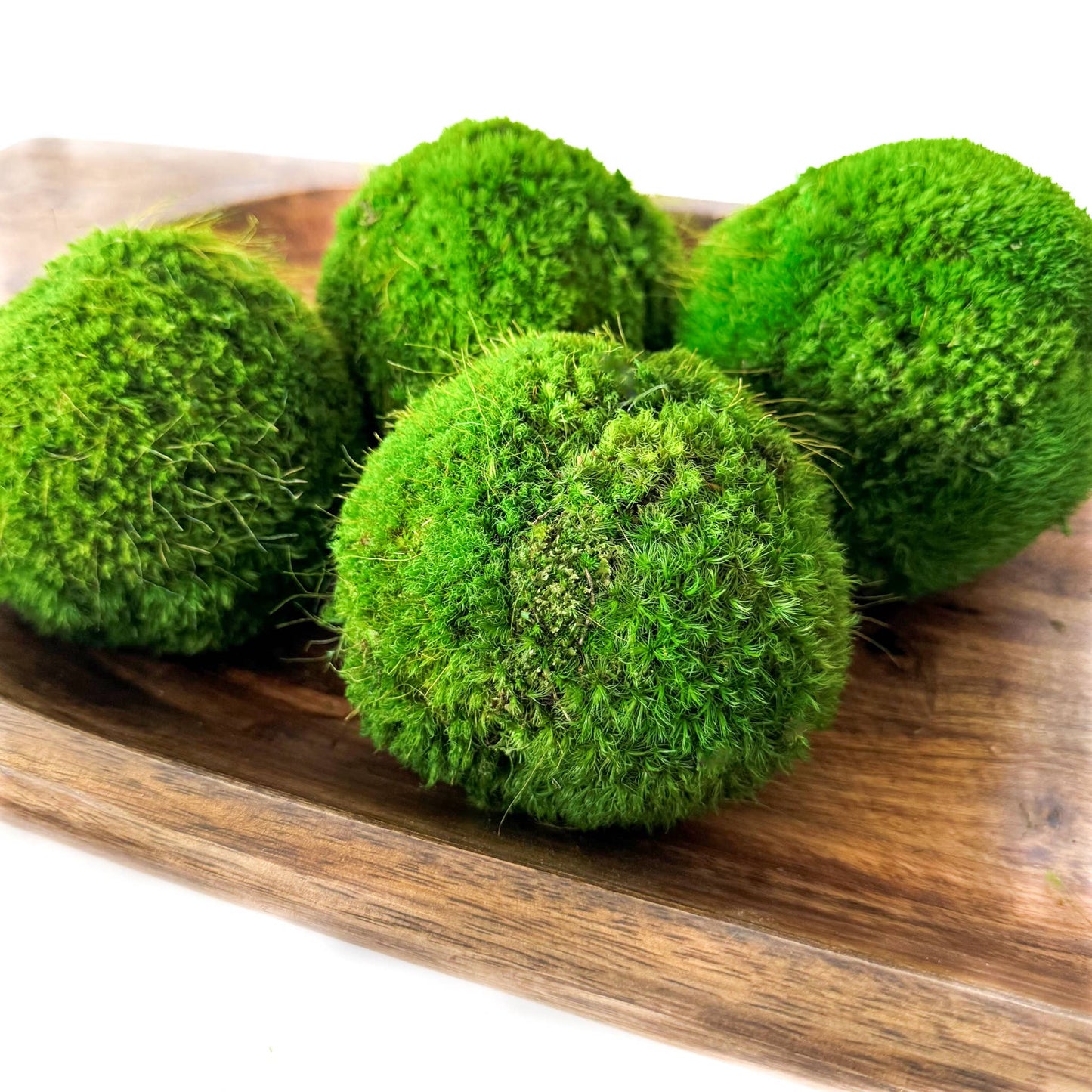 6'' Preserved Large Moss Ball Forever Green Art