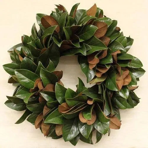 The Classic 30-inch Southern Fresh Magnolia Wreath Lucknow Southern and Company
