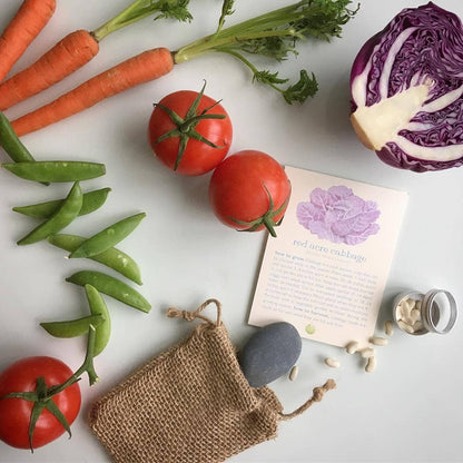 Kids Garden Maker | Stone Soup | Summer Activity Gift Potting Shed Creations, Ltd.