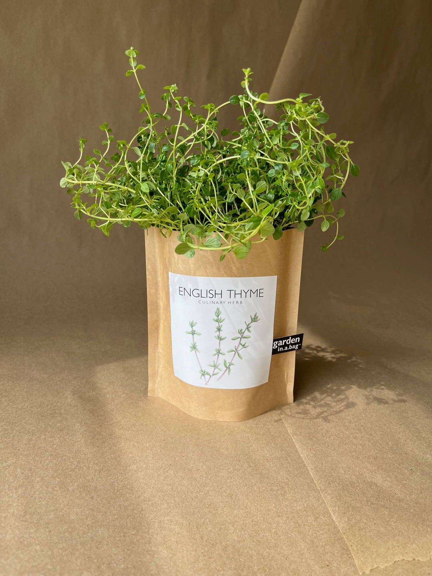 Garden in a Bag English Thyme | Summer Kitchen Garden Gift Potting Shed Creations, Ltd.
