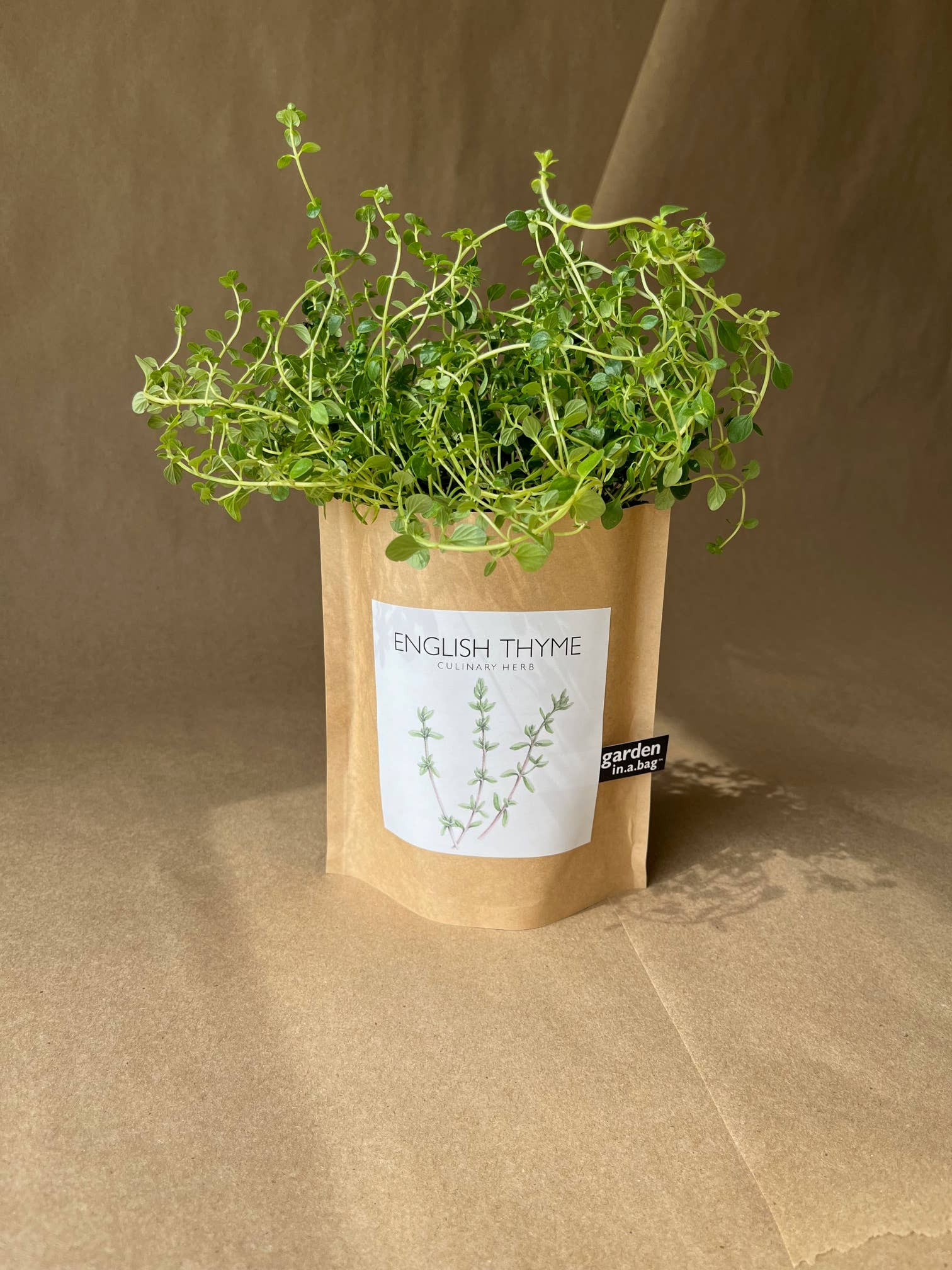Garden in a Bag English Thyme | Summer Kitchen Garden Gift Potting Shed Creations, Ltd.