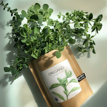 Garden in a Bag Oregano | Summer Kitchen Herb Garden Gift Potting Shed Creations, Ltd.