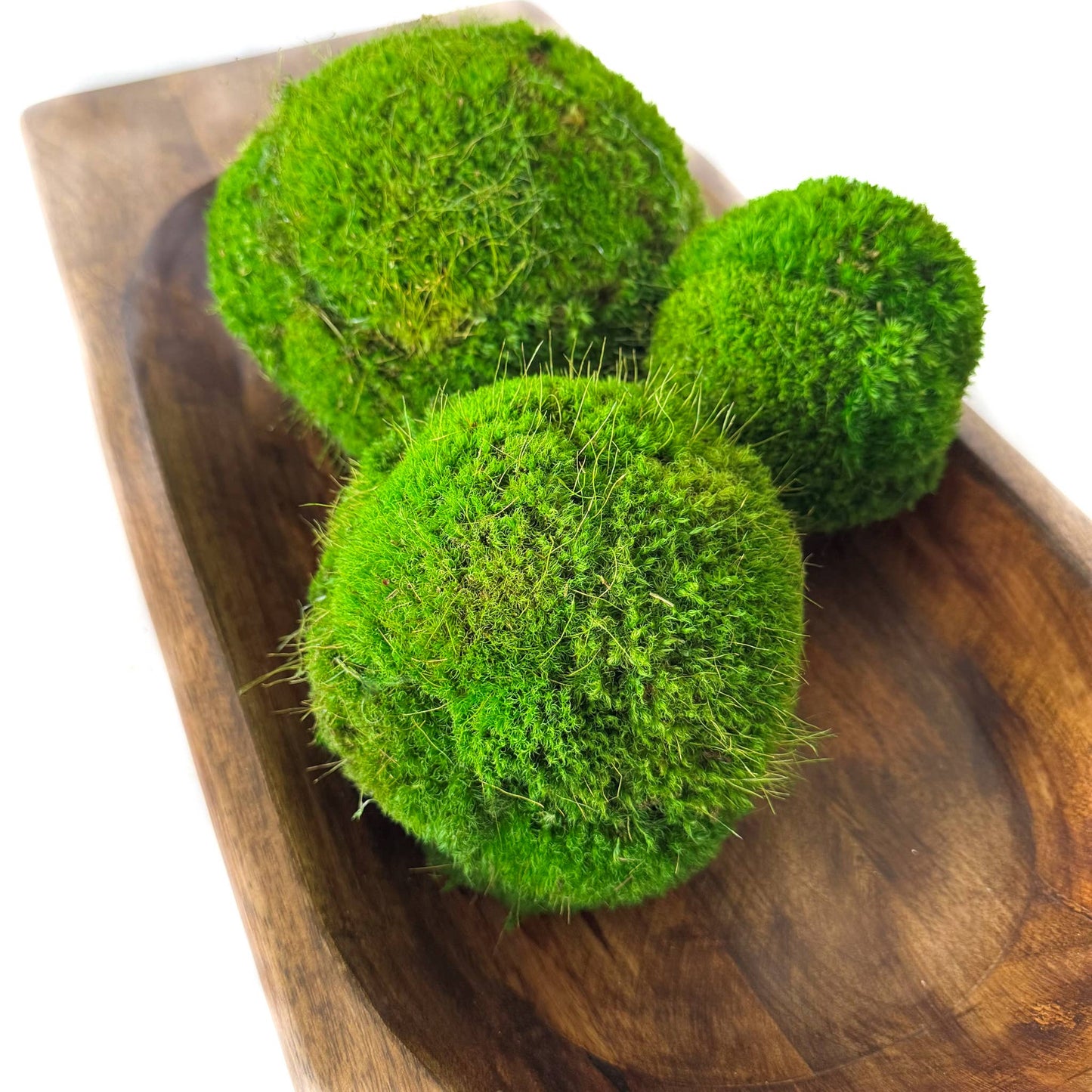 6'' Preserved Large Moss Ball Forever Green Art