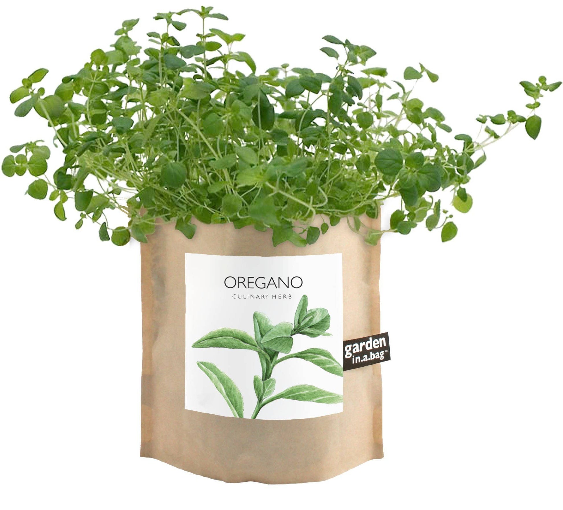 Garden in a Bag Oregano | Summer Kitchen Herb Garden Gift Potting Shed Creations, Ltd.