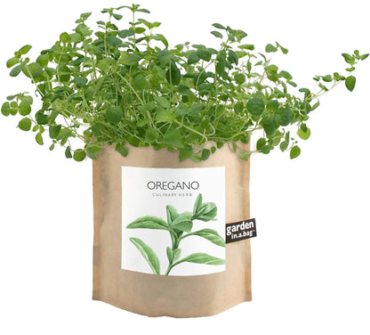 Garden in a Bag Oregano | Summer Kitchen Herb Garden Gift Potting Shed Creations, Ltd.