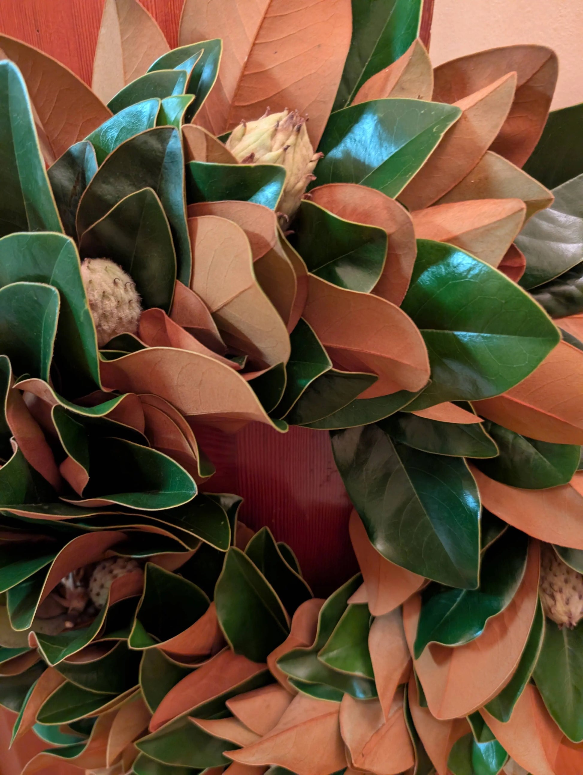 The Classic 30-inch Southern Fresh Magnolia Wreath Lucknow Southern and Company