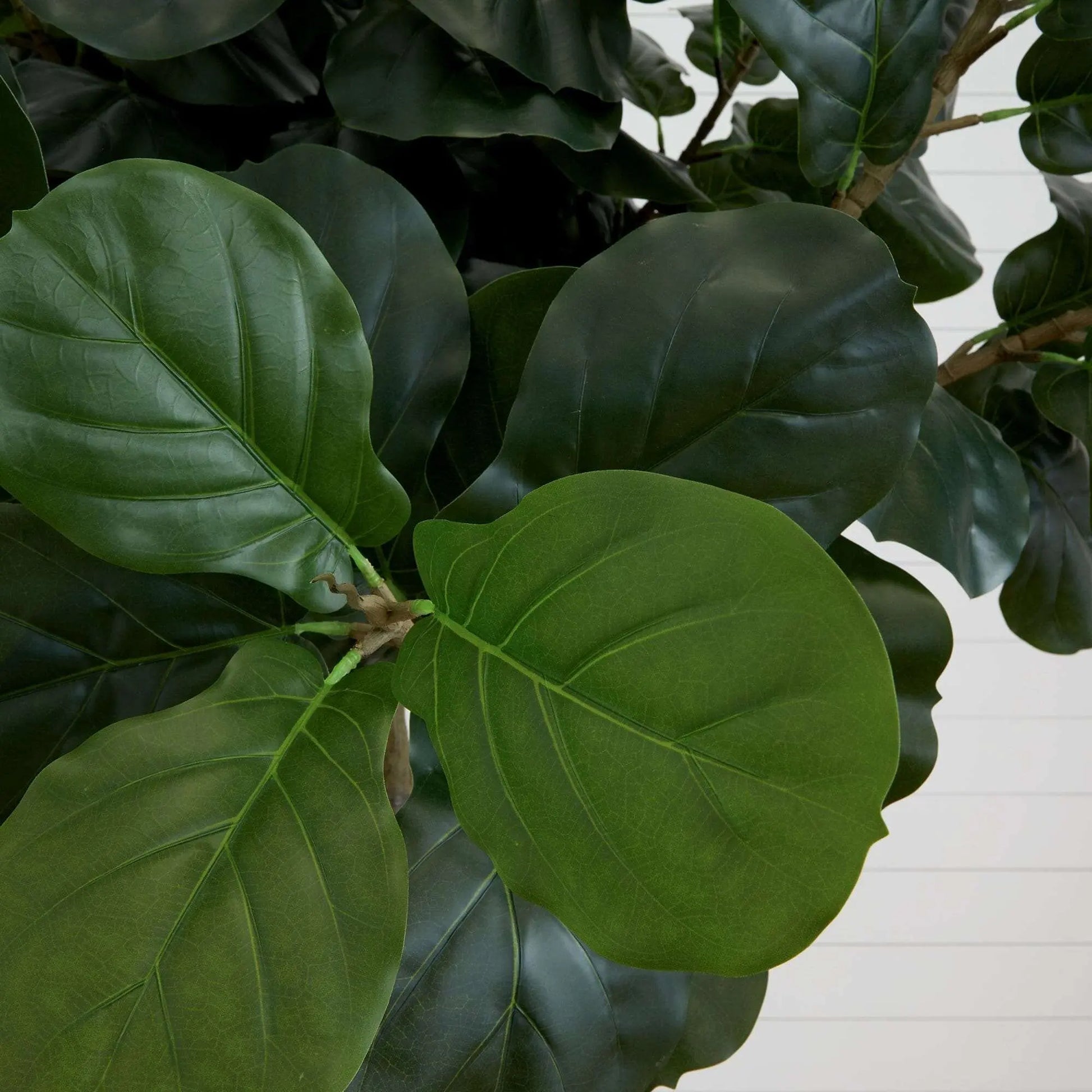 nearly natural fiddle leaf fig 10' Artificial Fiddle Leaf Fig Tree