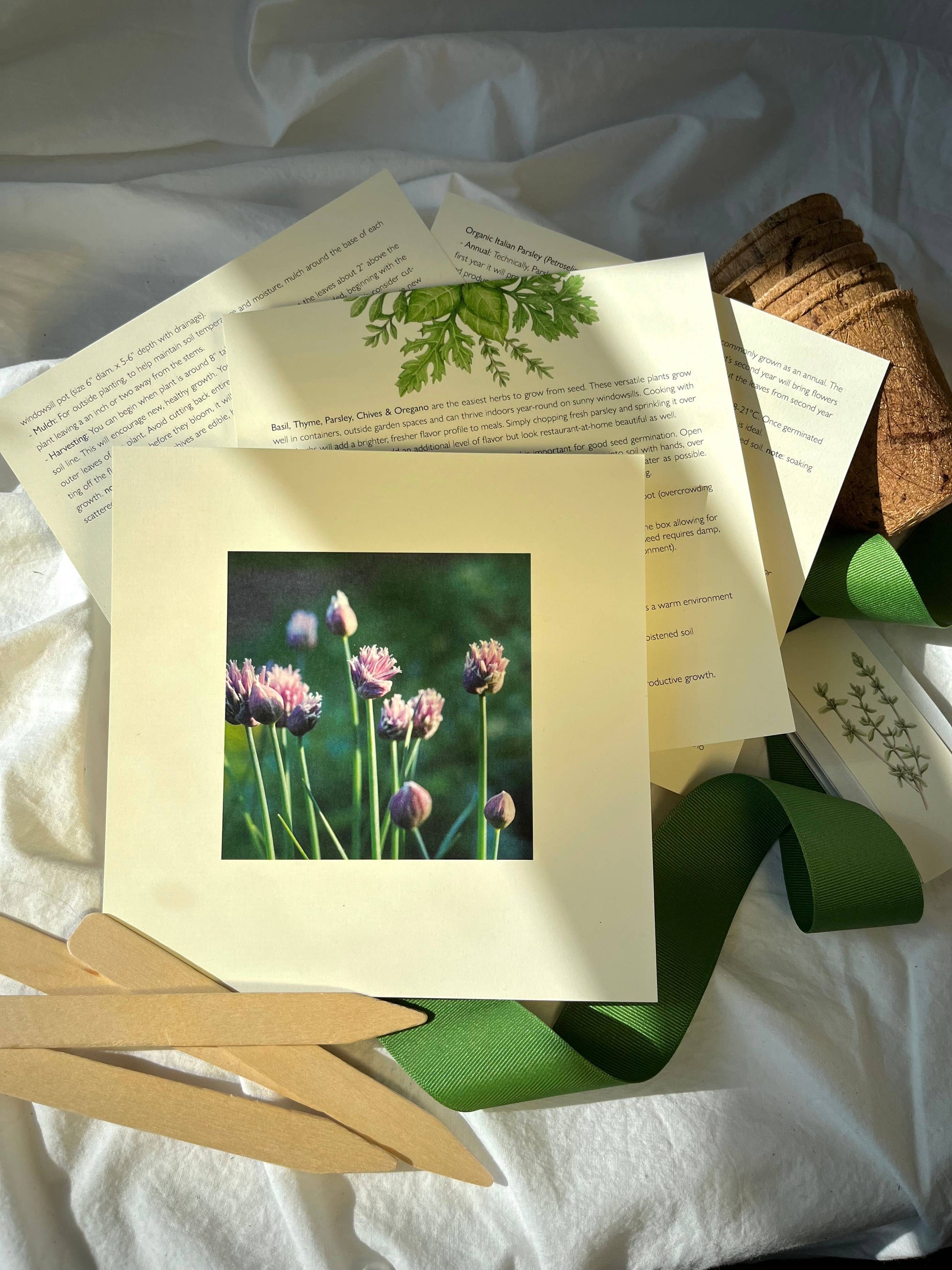 NEW Culinary Herb Garden Box | Thoughtful Summer Herb Kit Potting Shed Creations, Ltd.