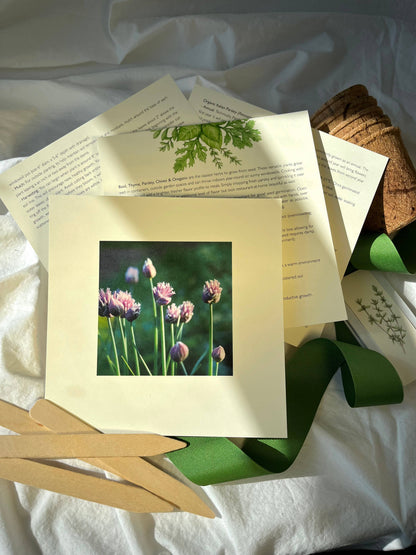 NEW Culinary Herb Garden Box | Thoughtful Summer Herb Kit Potting Shed Creations, Ltd.