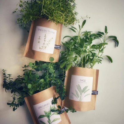 Garden in a Bag English Thyme | Summer Kitchen Garden Gift Potting Shed Creations, Ltd.