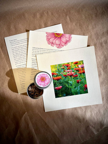 NEW Flower Cutting Garden Box | Mixed Zinnia | Thoughtful Potting Shed Creations, Ltd.
