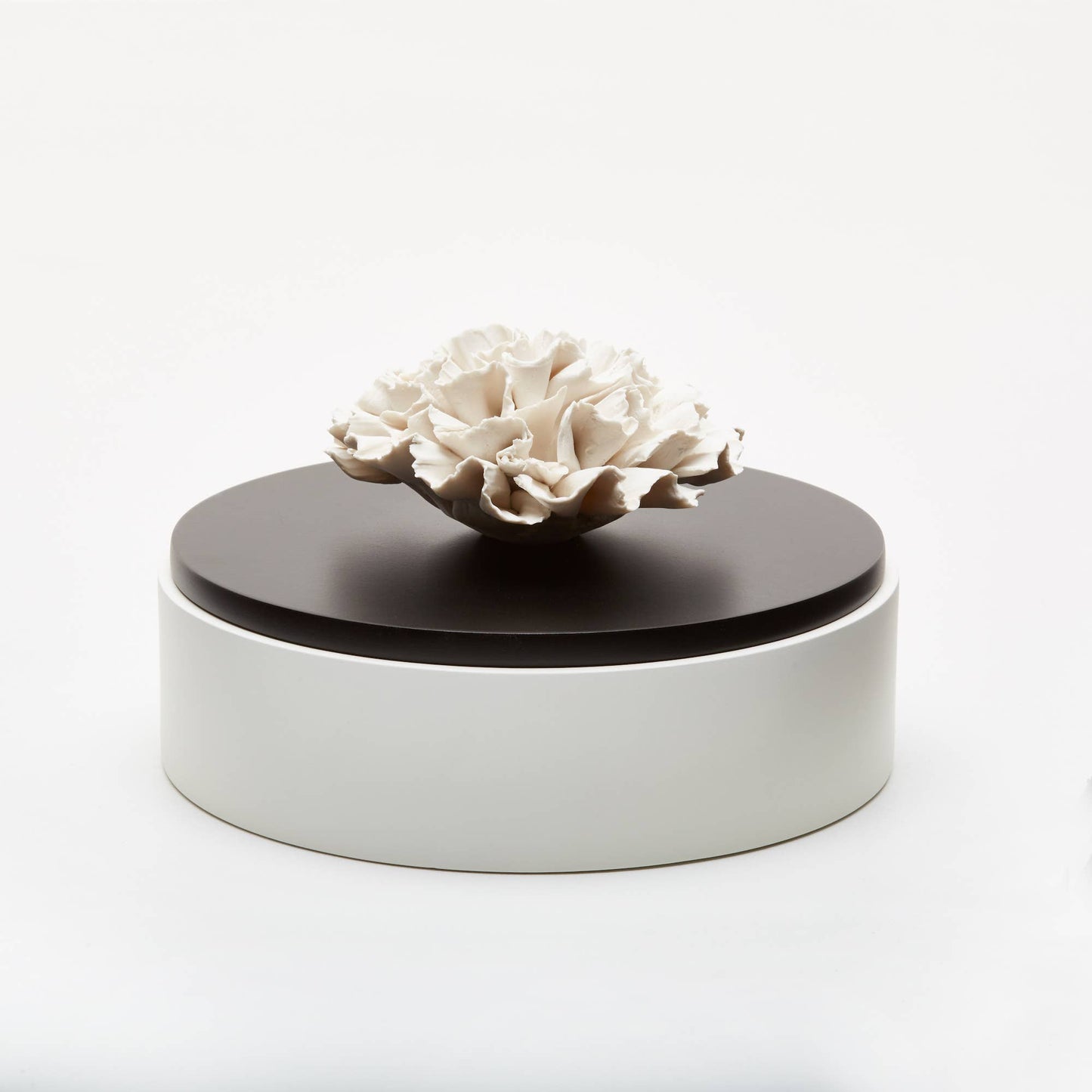 Iwa (White & Black) Wood + Porcelain Diffuse Box