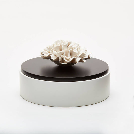 Iwa (White & Black) Wood + Porcelain Diffuse Box